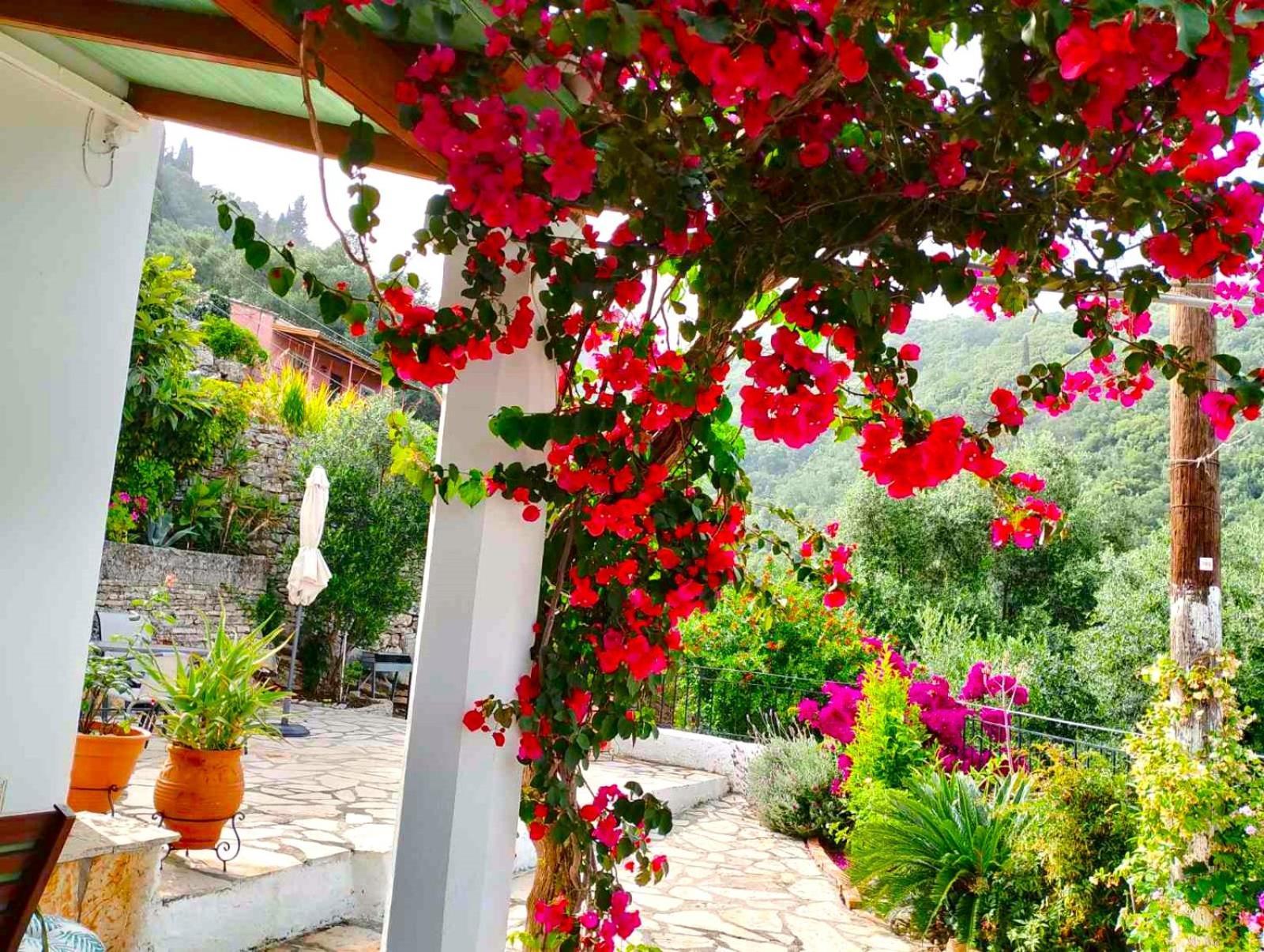 Villa Fior Di Corfu Kalámi Esterno foto